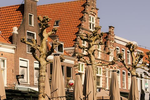 De historische trapgevels aan de Botermarkt in Haarlem boven het terras.